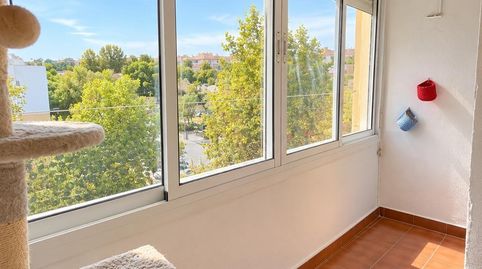 Foto 3 de Piso en venta en Calle Madre del Salvador, La Oliva, Sevilla Capital