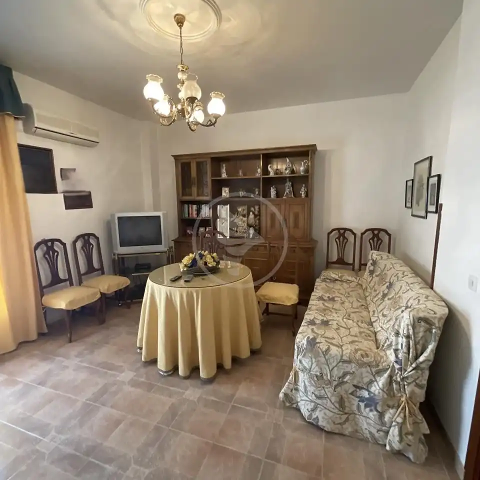 Sala d'estar de Casa o xalet en venda en Linares amb Aire condicionat i Terrassa
