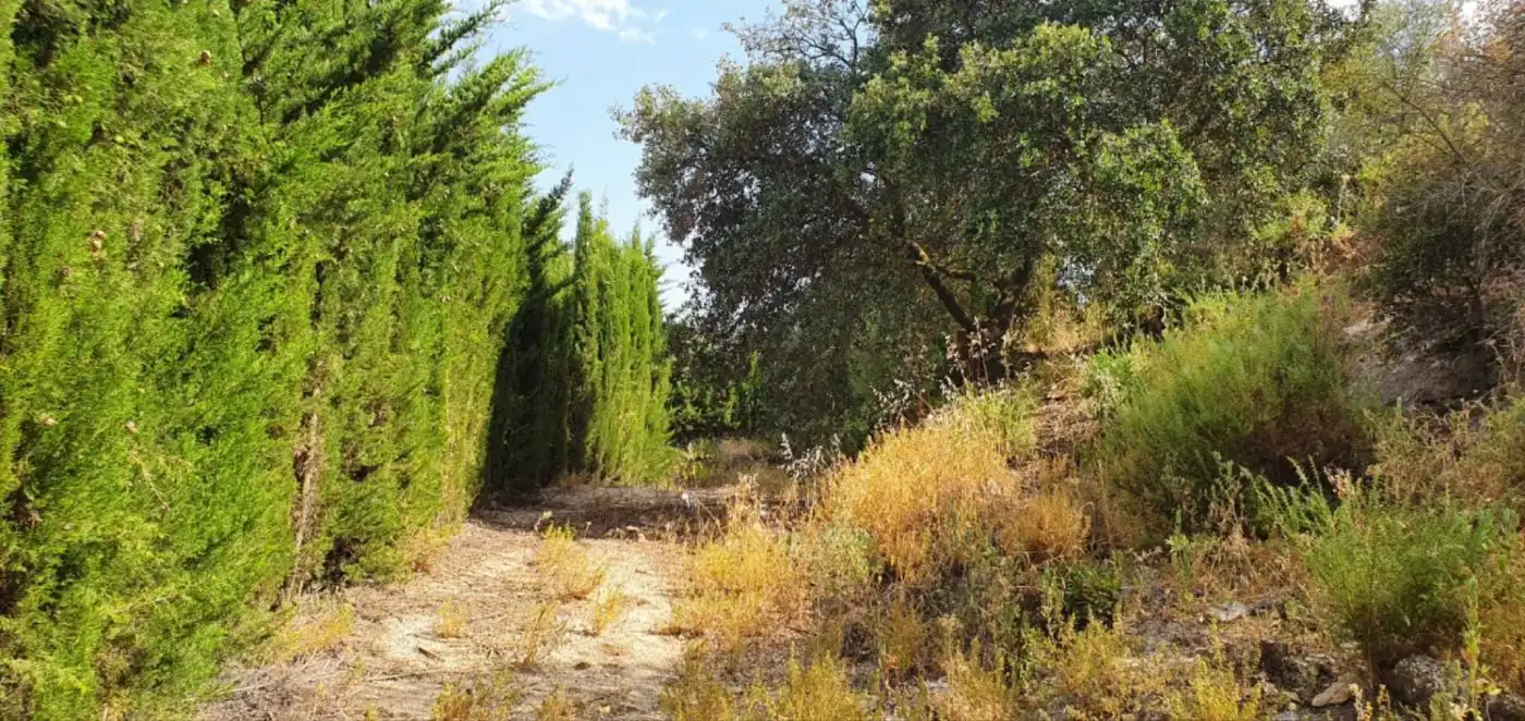 Terreni e lotti in vendita a Yunquera, imagen 12