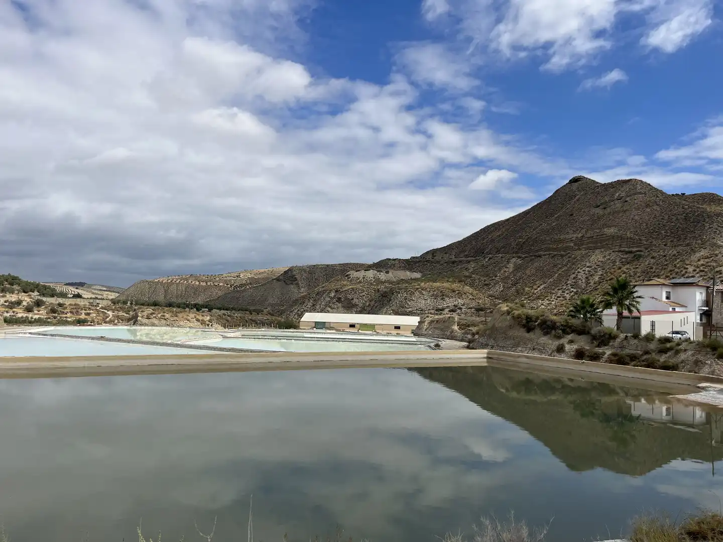 Swimming pool of Industrial land for sale in La Malahá