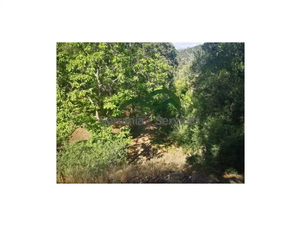 Casa o chalet en venta en Faraján