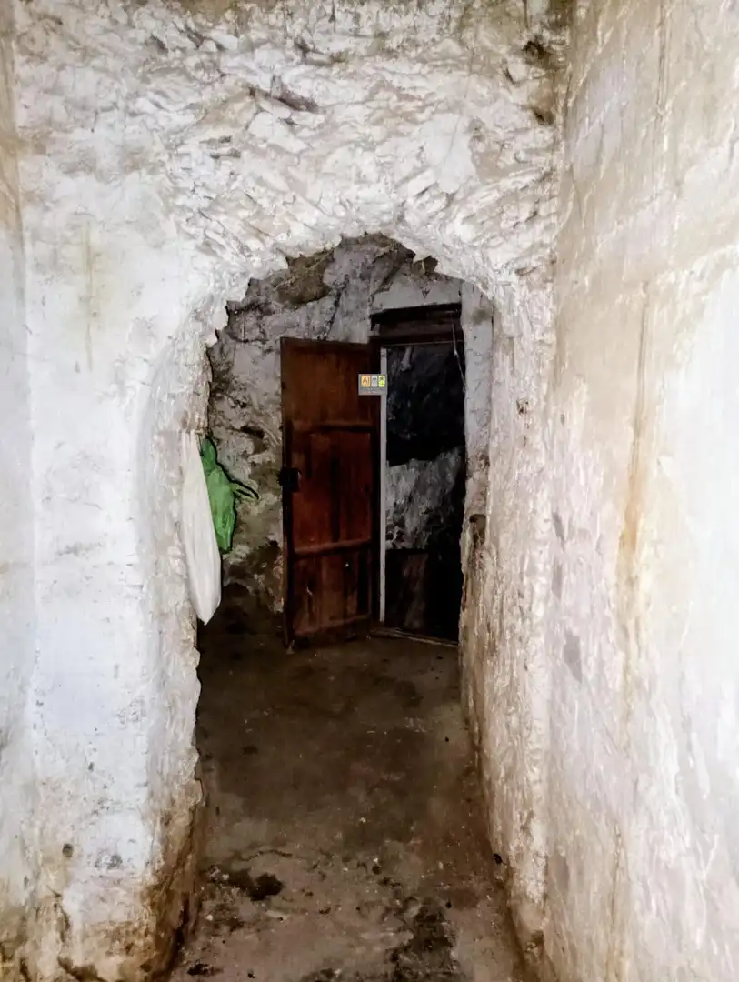 Terreny rústic en venda a Partida Racó De Rei, imagen 6