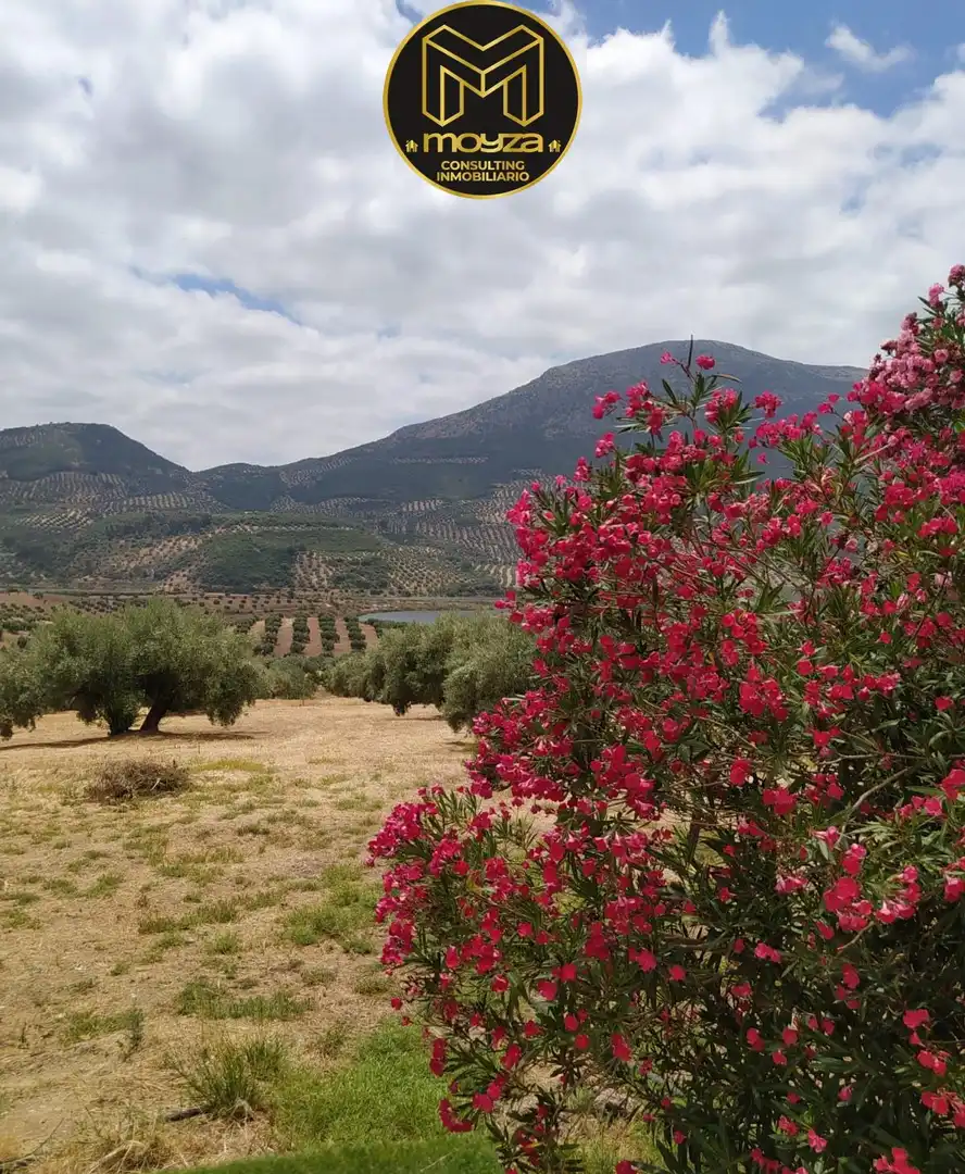 House with terrace for sale in Martos, imagen 7