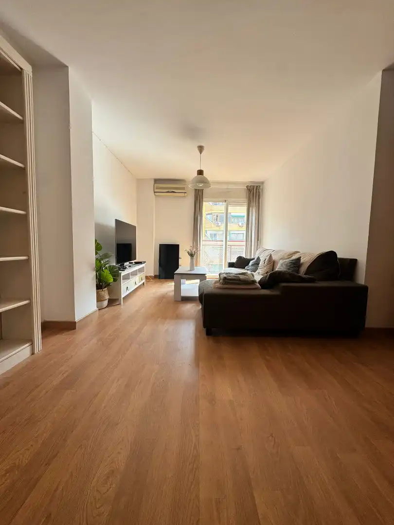 Sala de estar de Piso de alquiler en Valencia con Aire acondicionado, Calefacción y Parquet