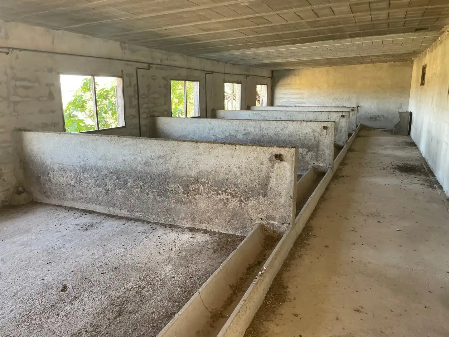 Vista exterior de Finca rústica en venta en Ariany con Jardín privado