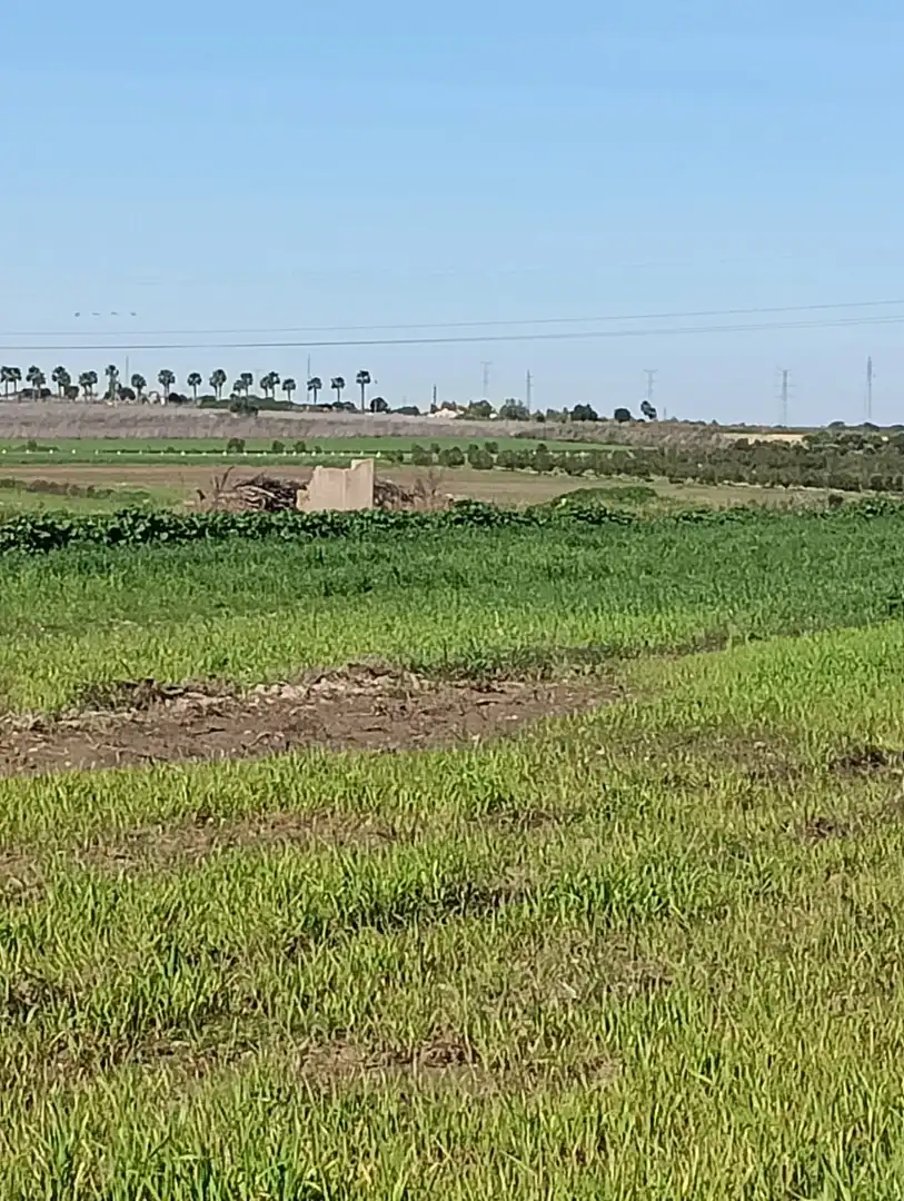 Terreni e lotti in vendita a San Juan del Puerto