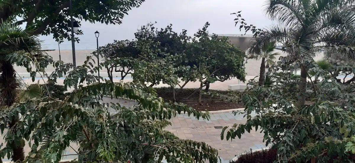 Wohnung zum Verkauf in Estepona - Estepona,Centro,Avenida Juan Carlos I, imagen 25
