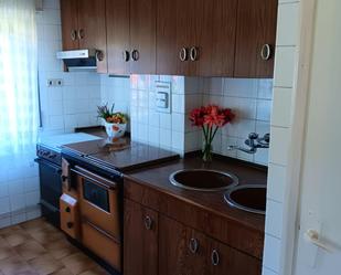 Kitchen of Flat for sale in Valle de Mena  with Heating, Private garden and Storage room