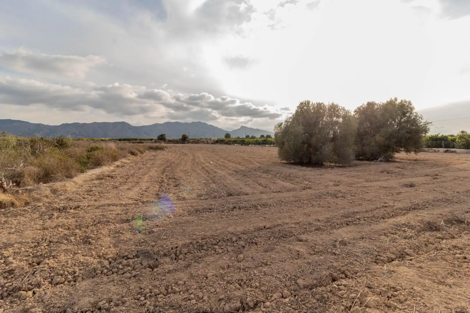 Terreno rústico en venta en Montepinar - La Aparecida - Raiguero, imagen 2