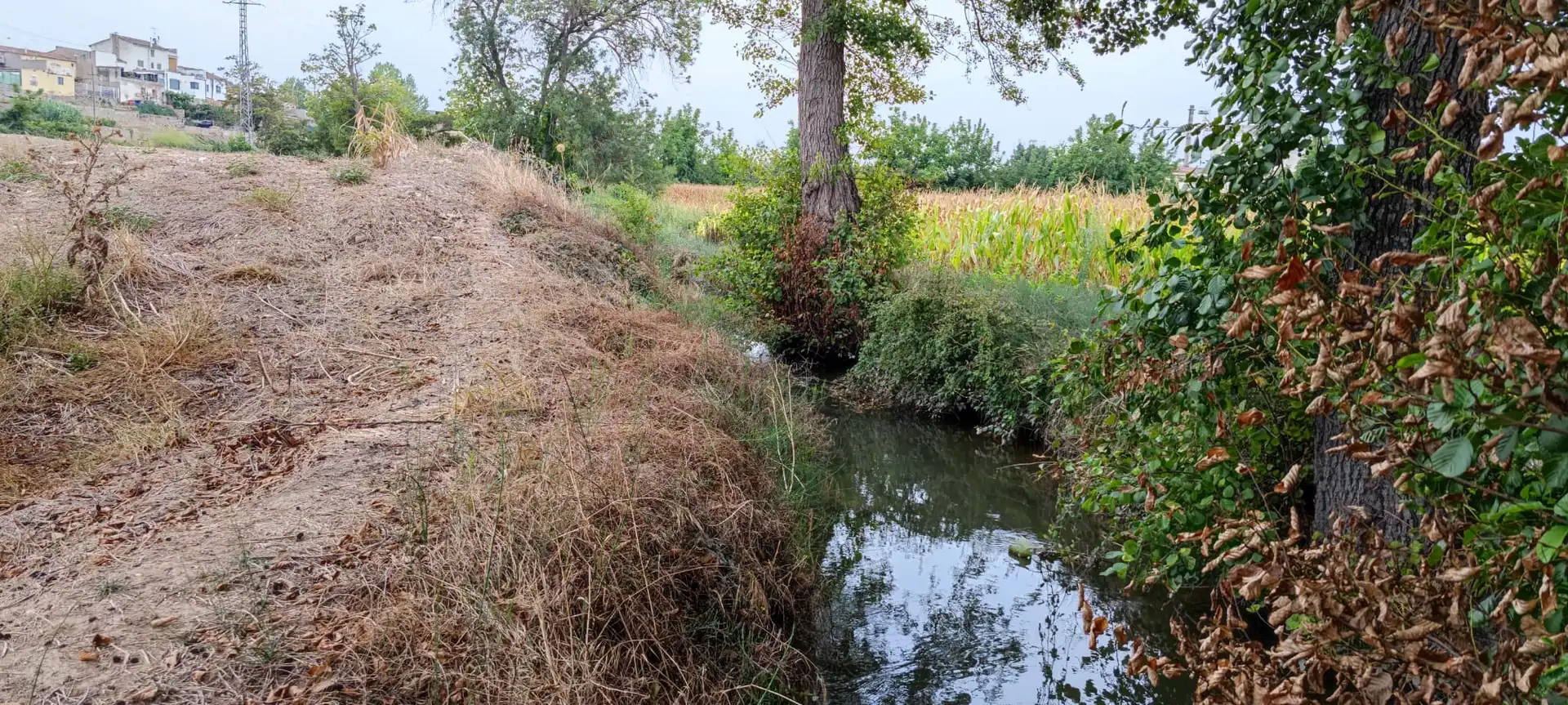 Residential land for sale in Camarasa-Sau4, imagen 6