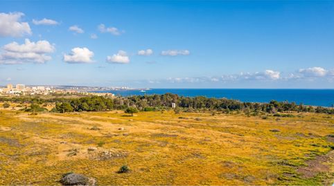 Foto 5 de Àtic en venda a Punta Prima, -1, Punta Prima, Torrevieja