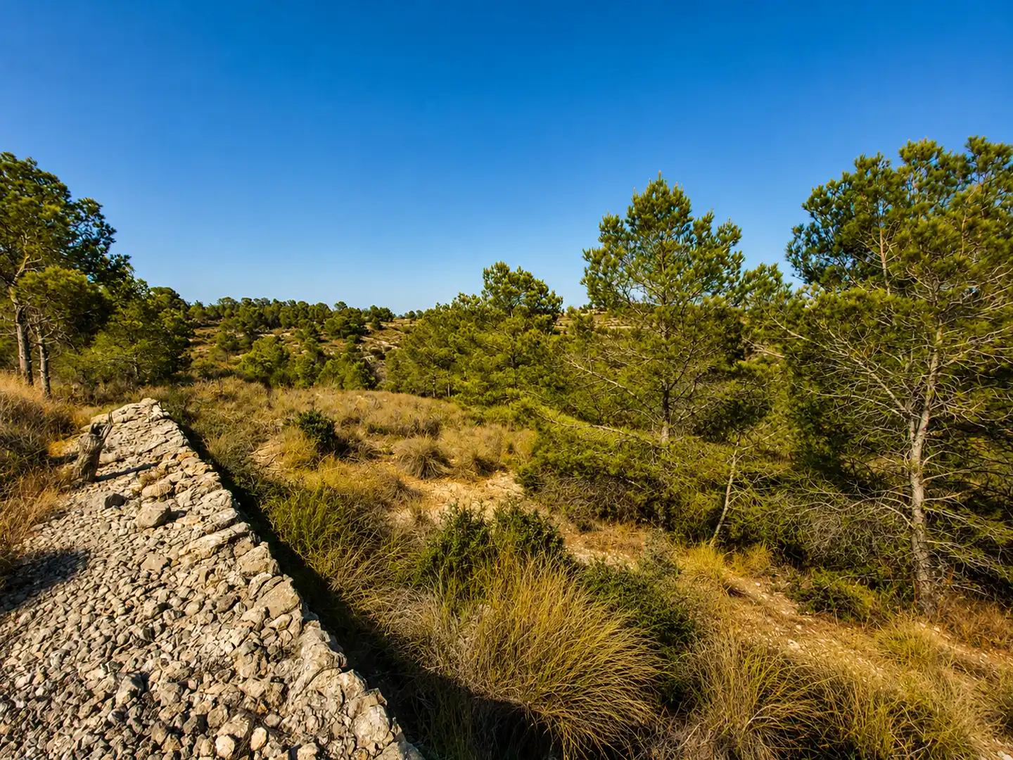 Terreno en venta en La Romana
