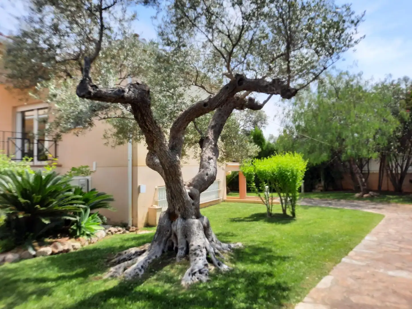 Villa avec terrasse à vendre à Las Atalayas - Urmi - Cerro de Mar, imagen 60