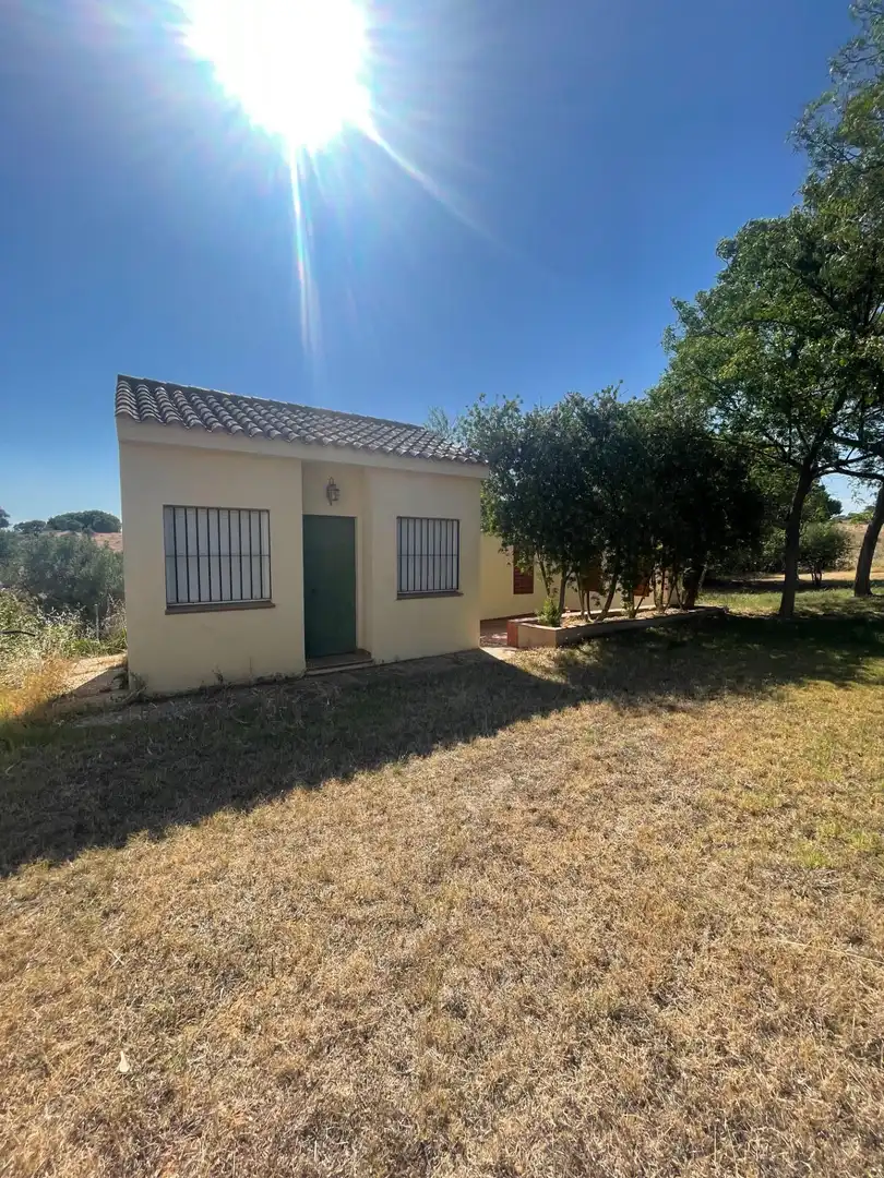 Vista exterior de Finca rústica en venta en Ayamonte con Jardín privado y Terraza