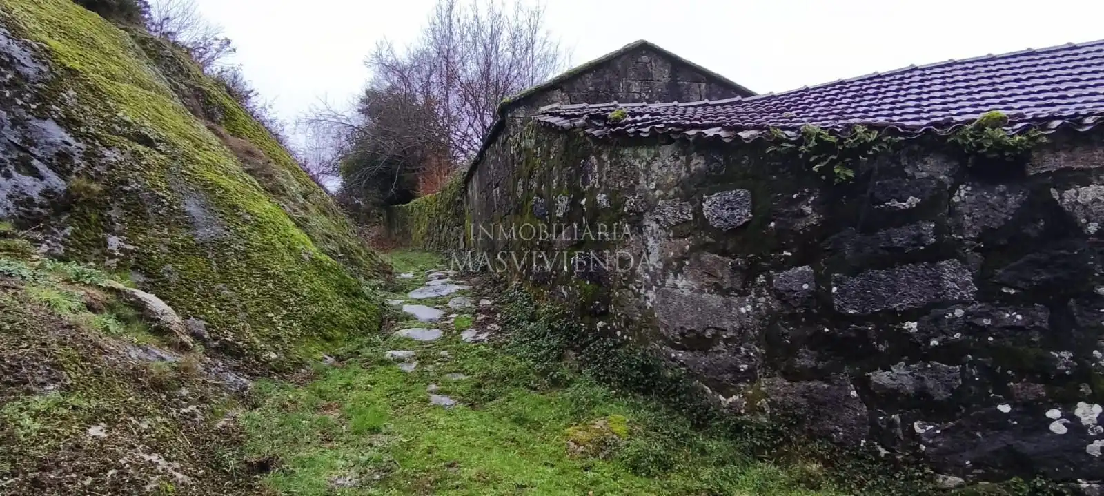Houses for sale in Fornelos de Montes  with Private garden and Storage room