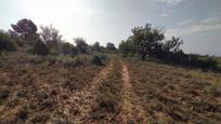 Land for sale in Casco Antiguo, imagen 2