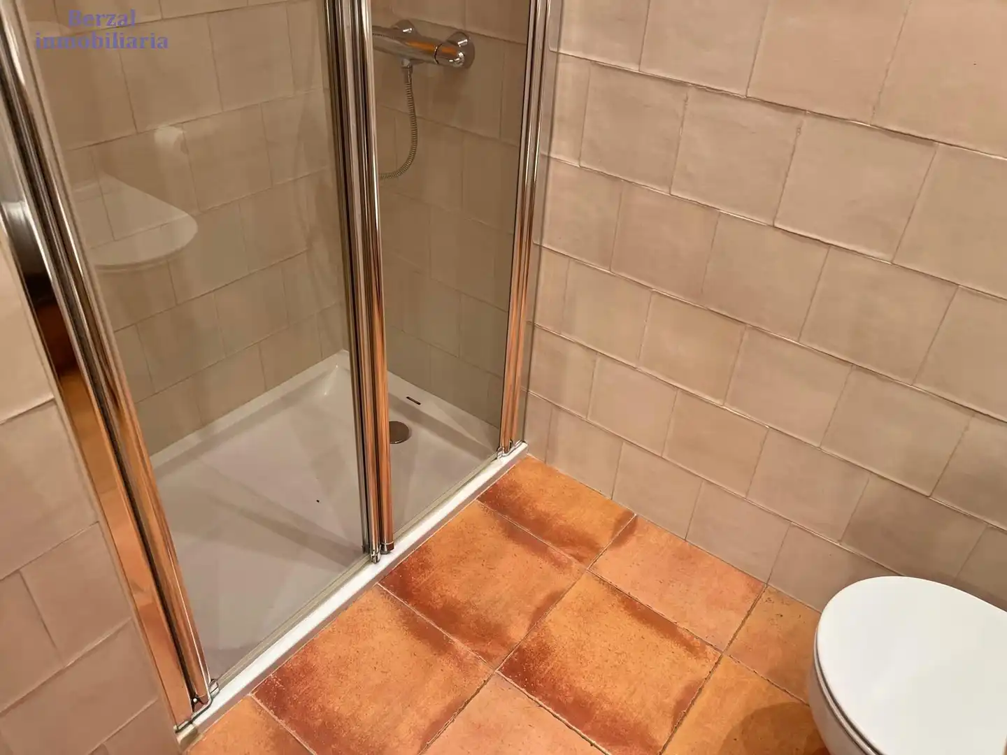 Bany de Casa o xalet en venda en Sorzano amb Jardí privat, Terrassa i Traster