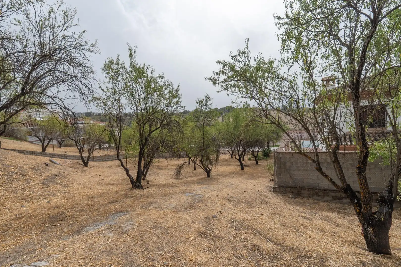 Houses for sale in Camino DE LA BARRERA (FAR), 58, Fargue