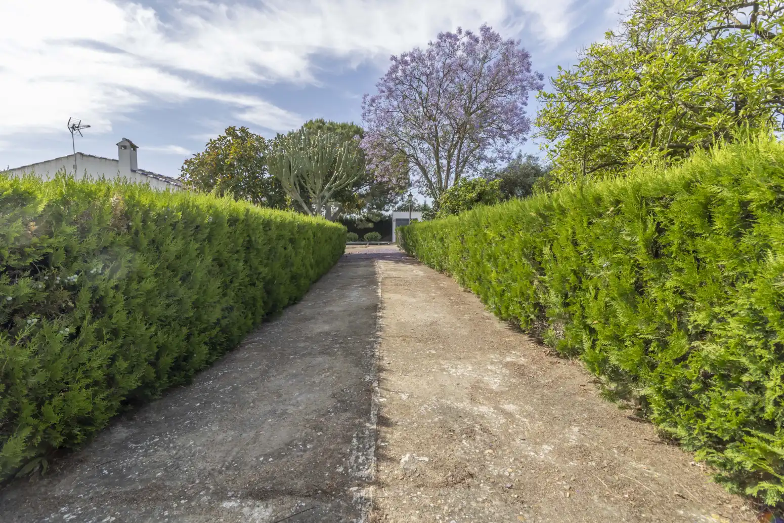 Casa o chalet en venta en Carmona con Piscina