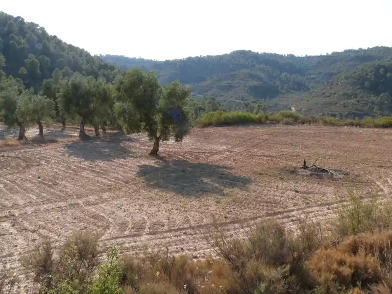 Finca rústica en venta en Calaceite
