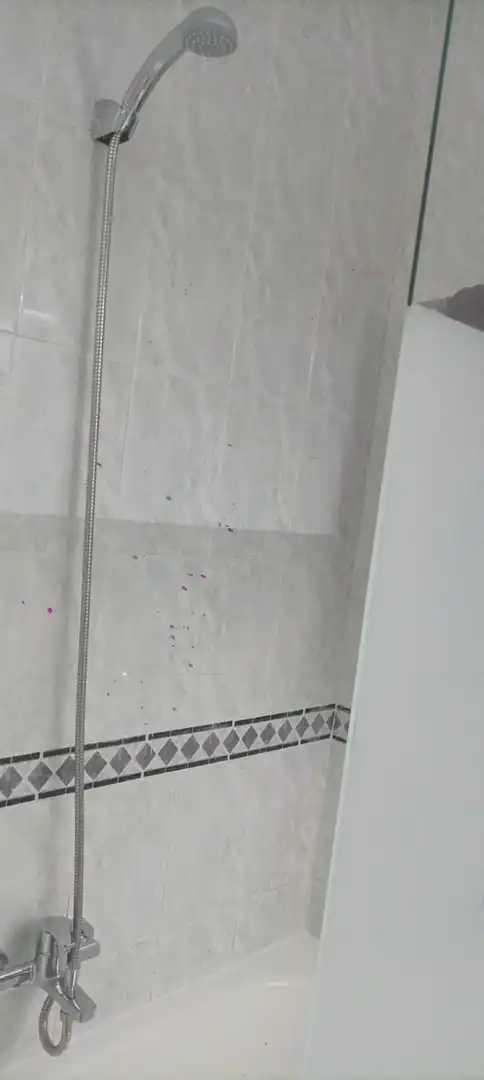 Pis de lloguer a Casería de Montijo