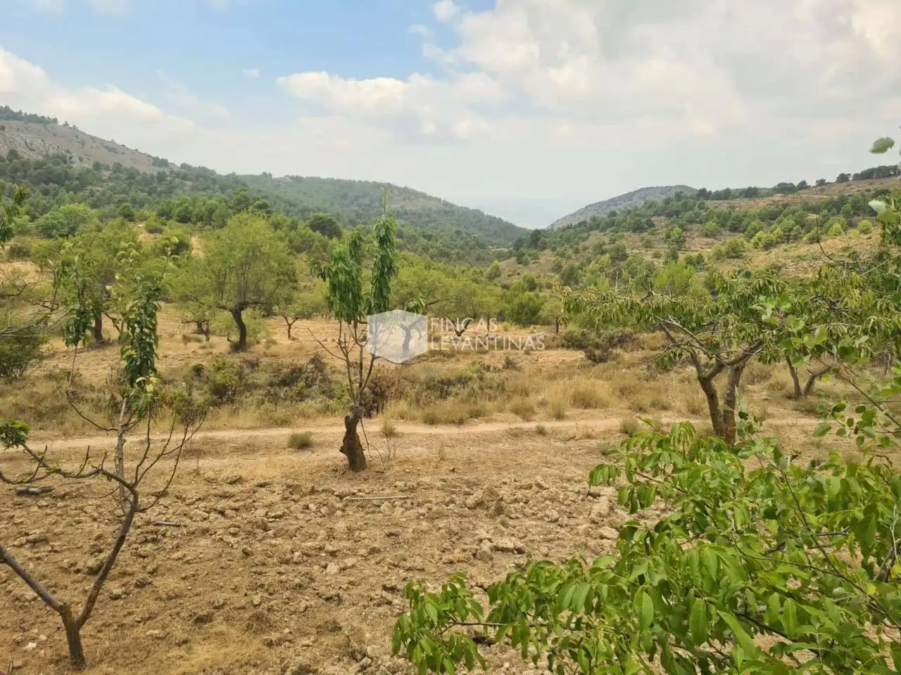 Casa o xalet en venda en Finestrat