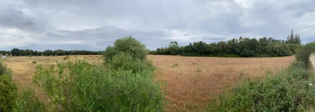 Grundstücke und Bauplätze zum Verkauf in CAMI DE SA TORTUGA, imagen 7