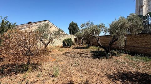 Foto 4 de Finca rústica en venda a Pedanías Norte, Utrera