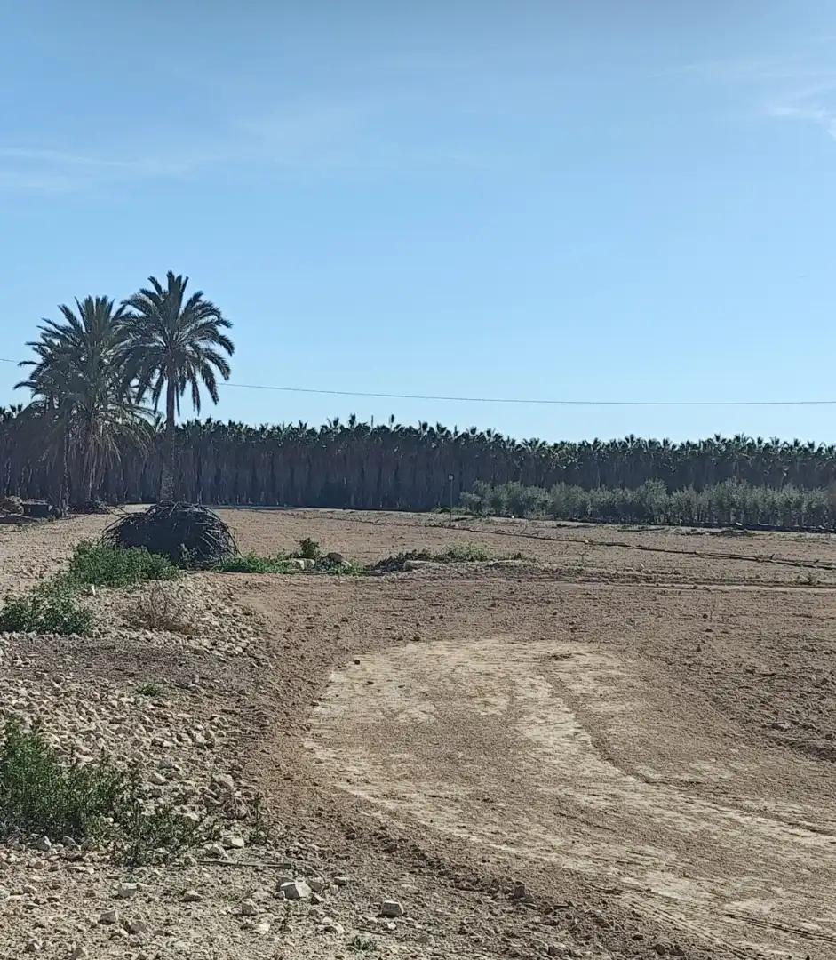 Rural land for sale in Las Bayas
