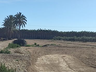 Terreny rústic en venda a Las Bayas