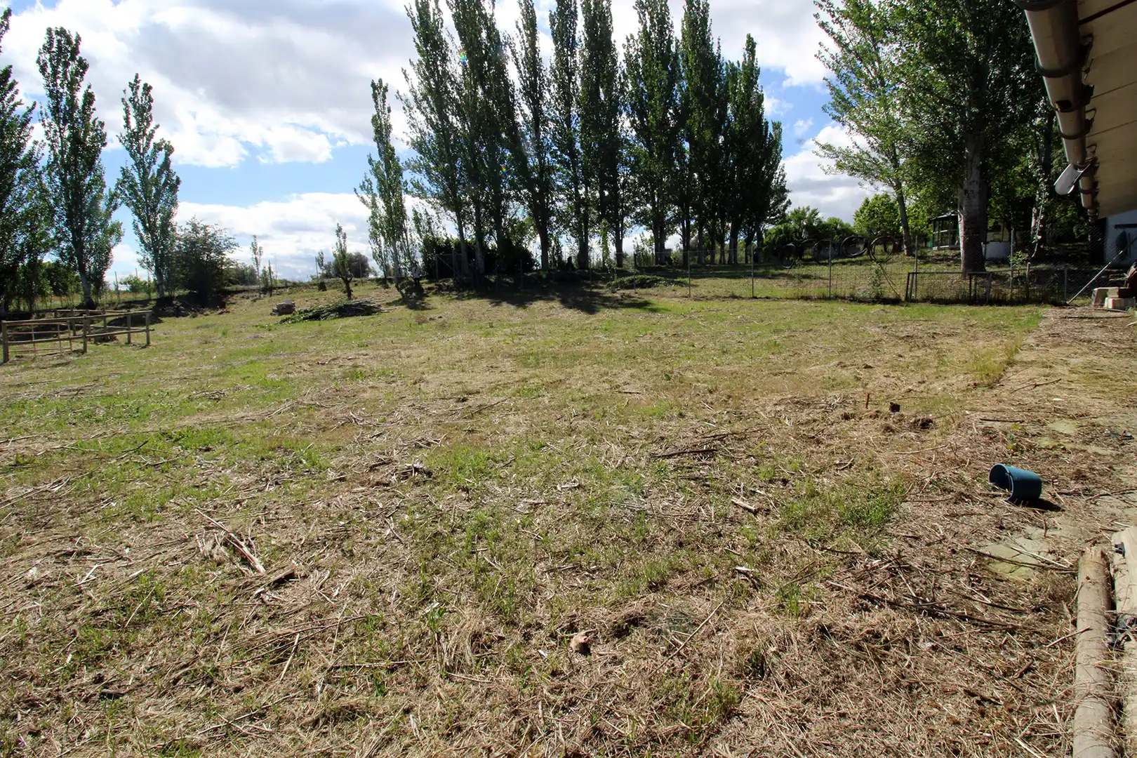 Land for sale in Torrelaguna
