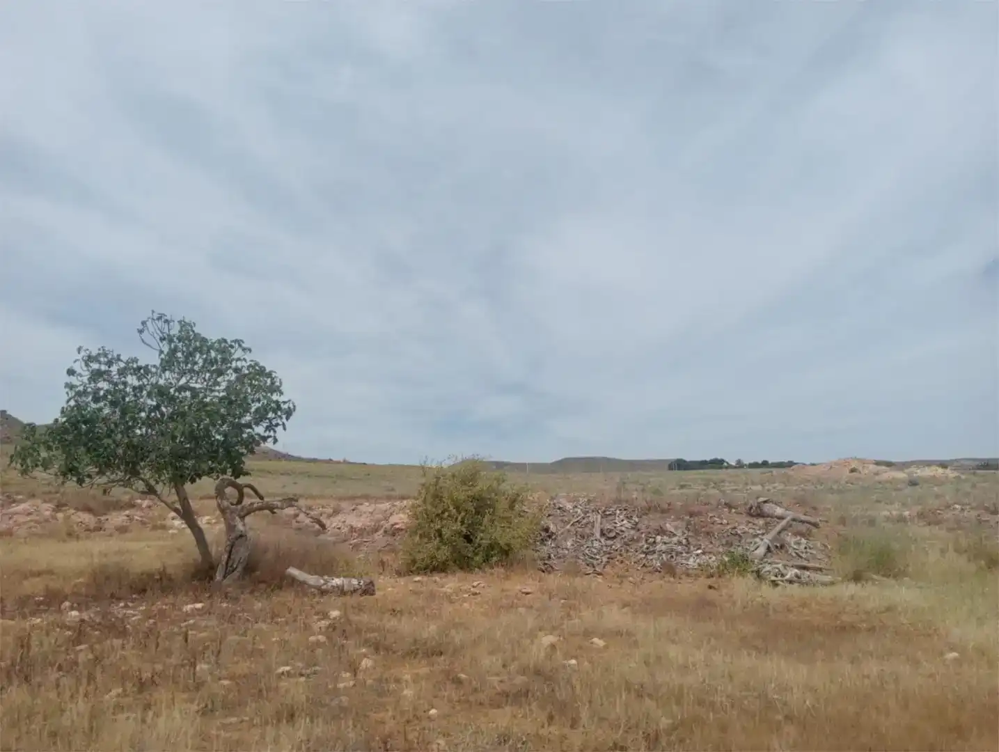Land for sale in Níjar
