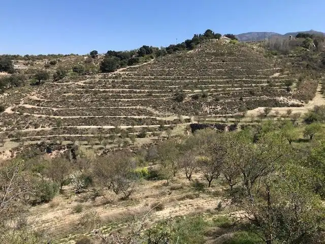 Grundstücke zum Verkauf in La Zubia