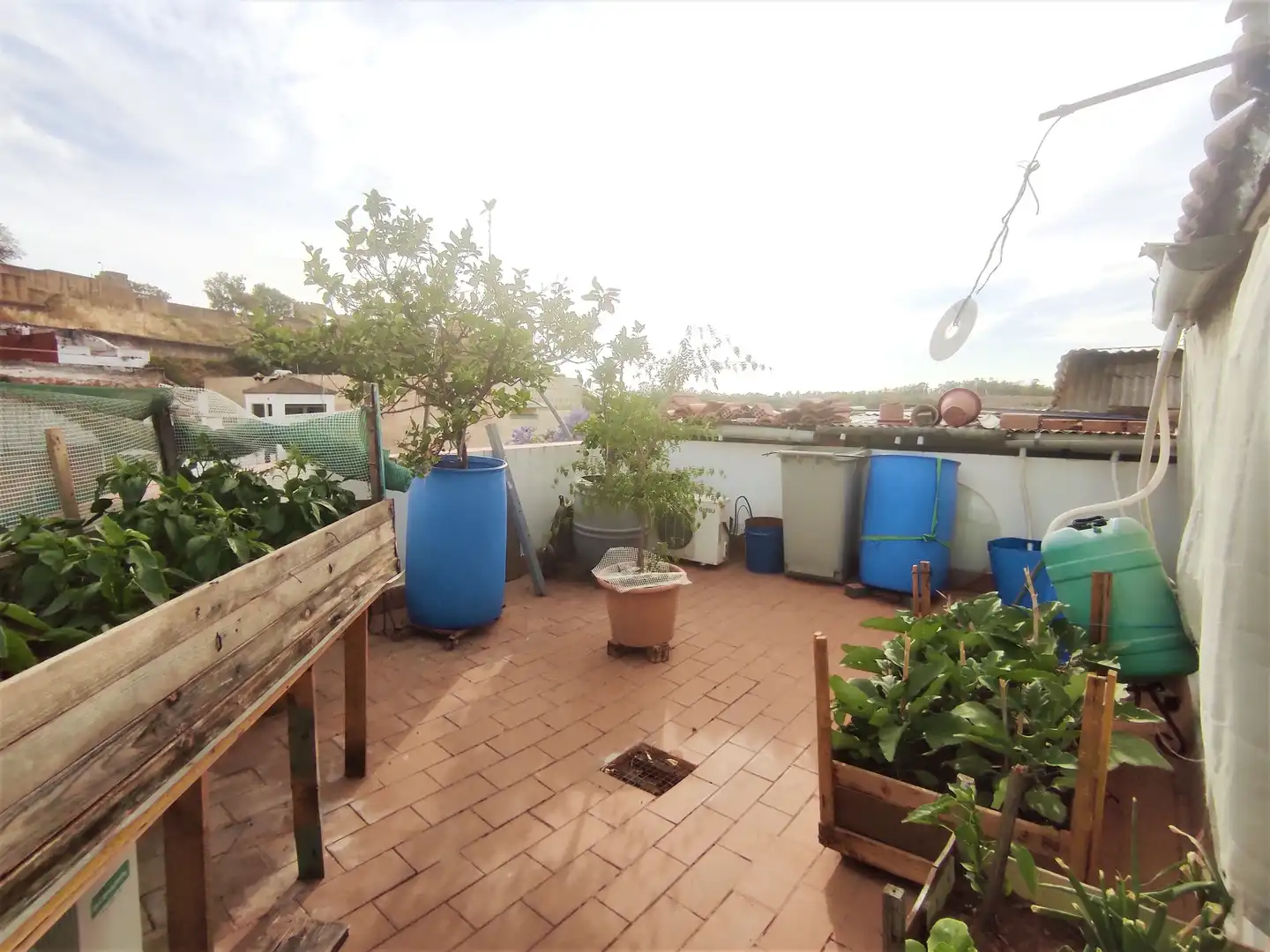 Finca rústica en venta en Calle Duquesa de Talavera, Centro