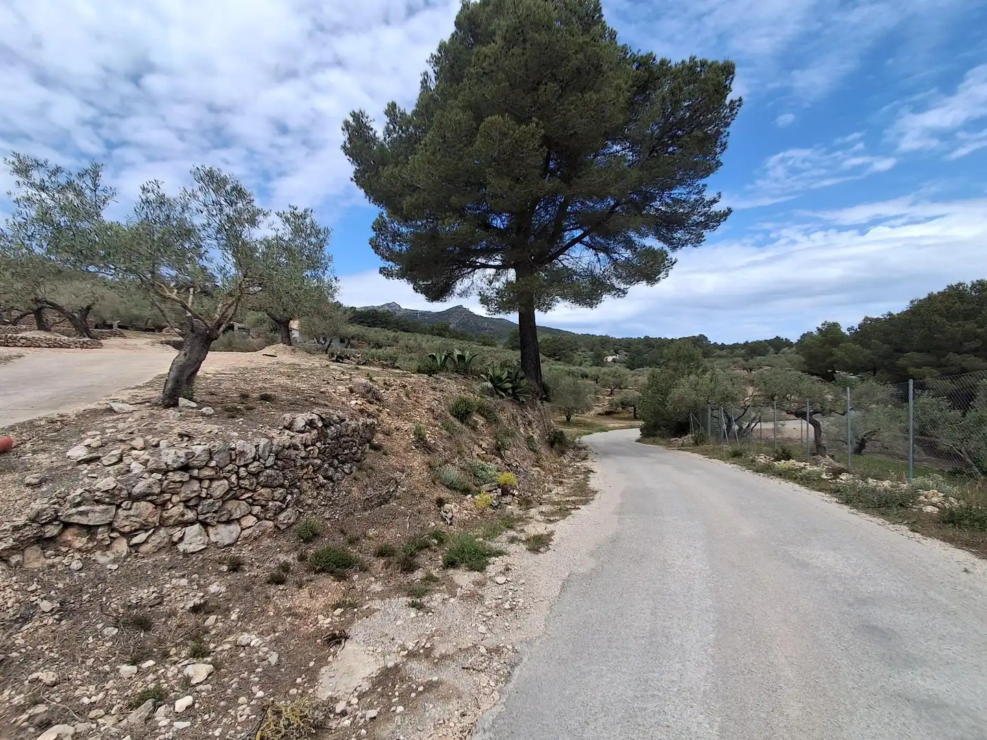 Terreno rustico in vendita a El Perelló, imagen 35