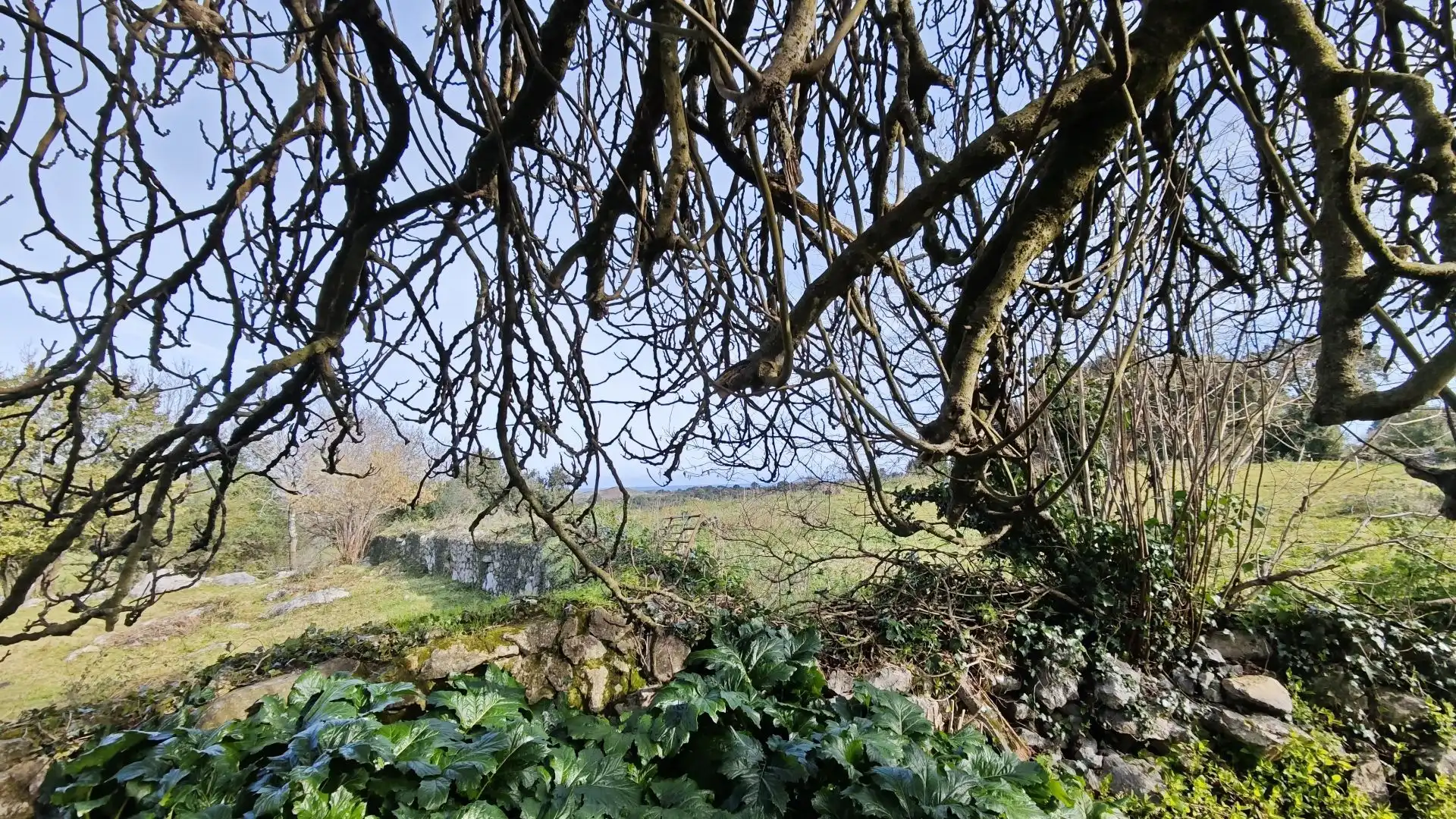 Garden of Country homes for sale in Llanes  with Private garden