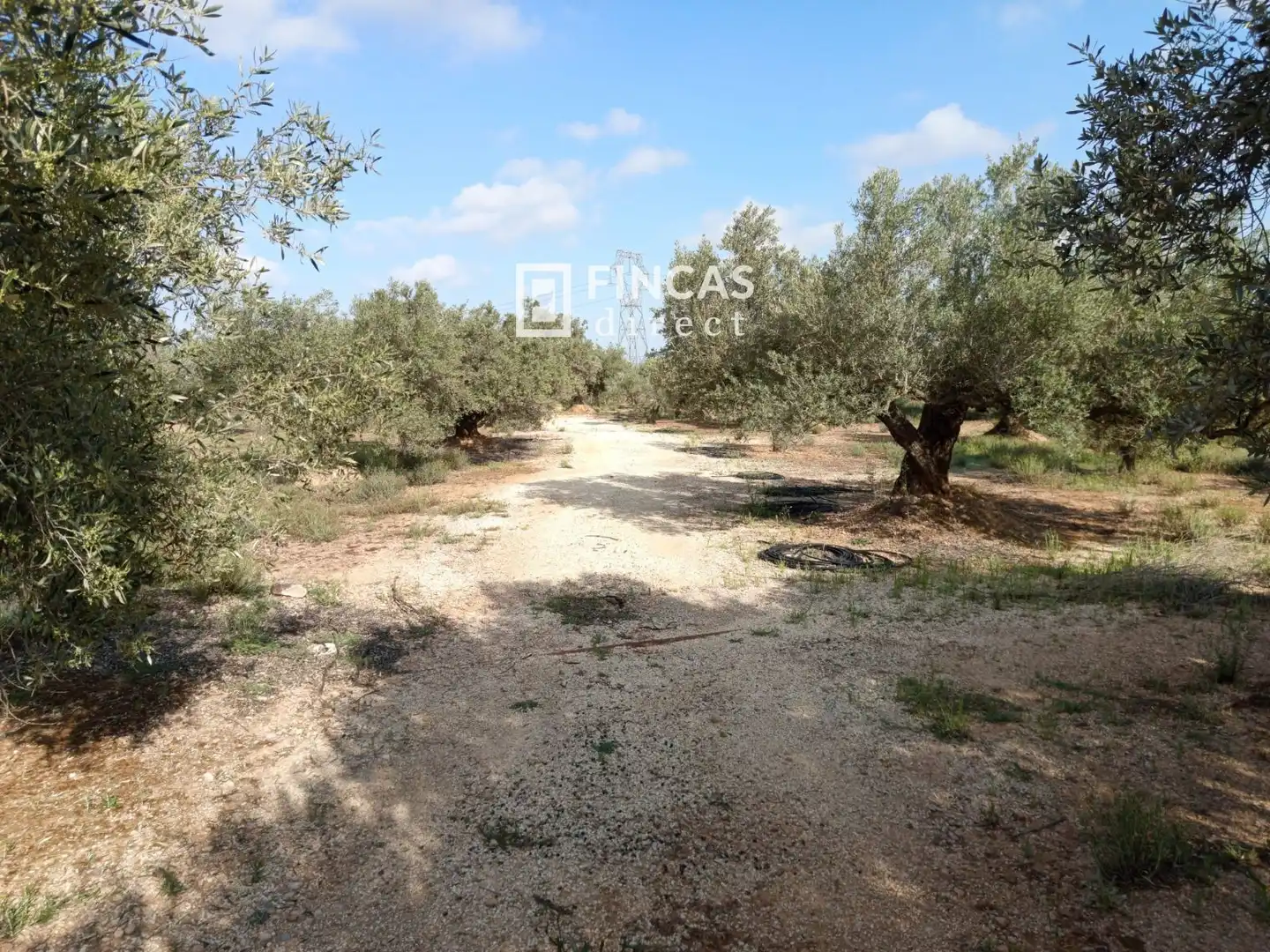 Country house for sale in QJMJ+85J, imagen 16