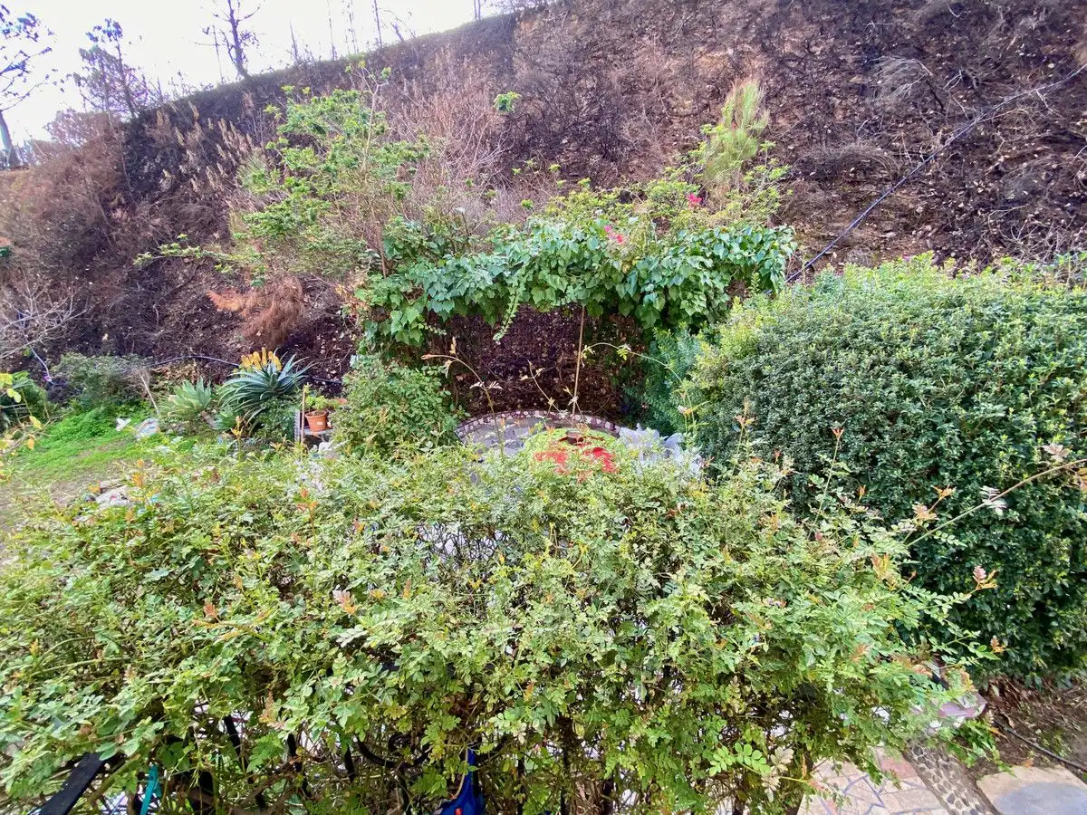 Xalet amb terrassa en venda a Estepona Pueblo, imagen 41