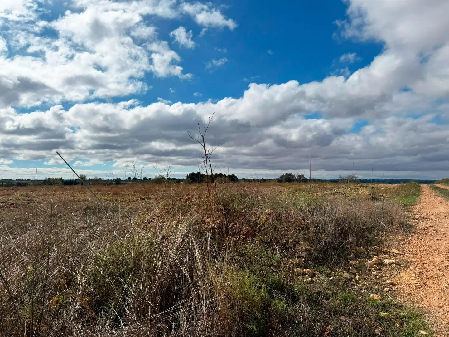 Terreno en venta en Motilleja
