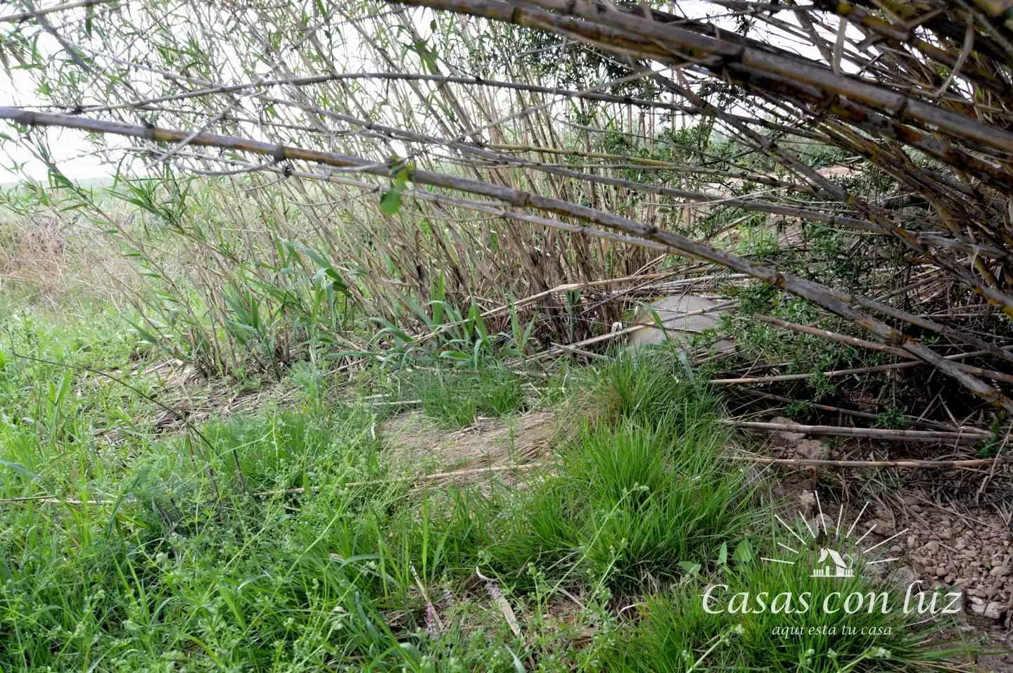 Terreno en venta en Zaragoza