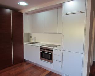 Kitchen of Loft to rent in Matadepera  with Air Conditioner and Terrace