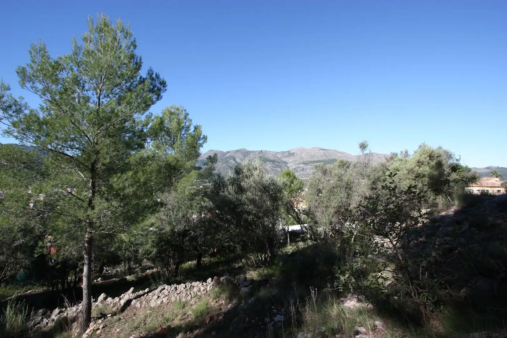 Terrenys i solars en venda a La Vall de Laguar, imagen 3