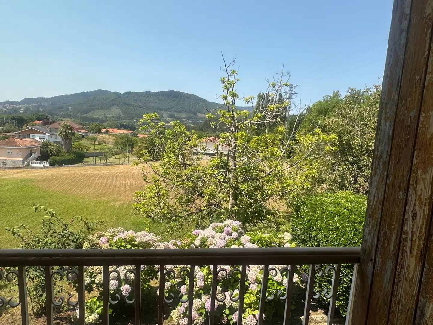 House with garden for sale in Avenida del Campo, imagen 8