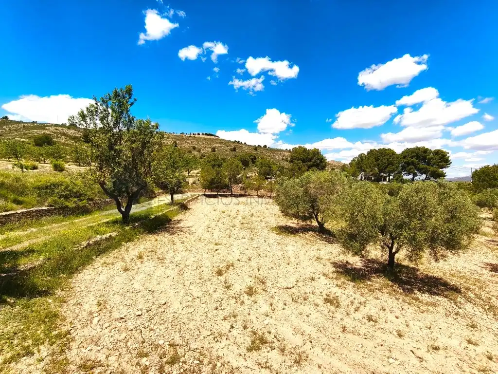 Finca rústica en venta en Sax