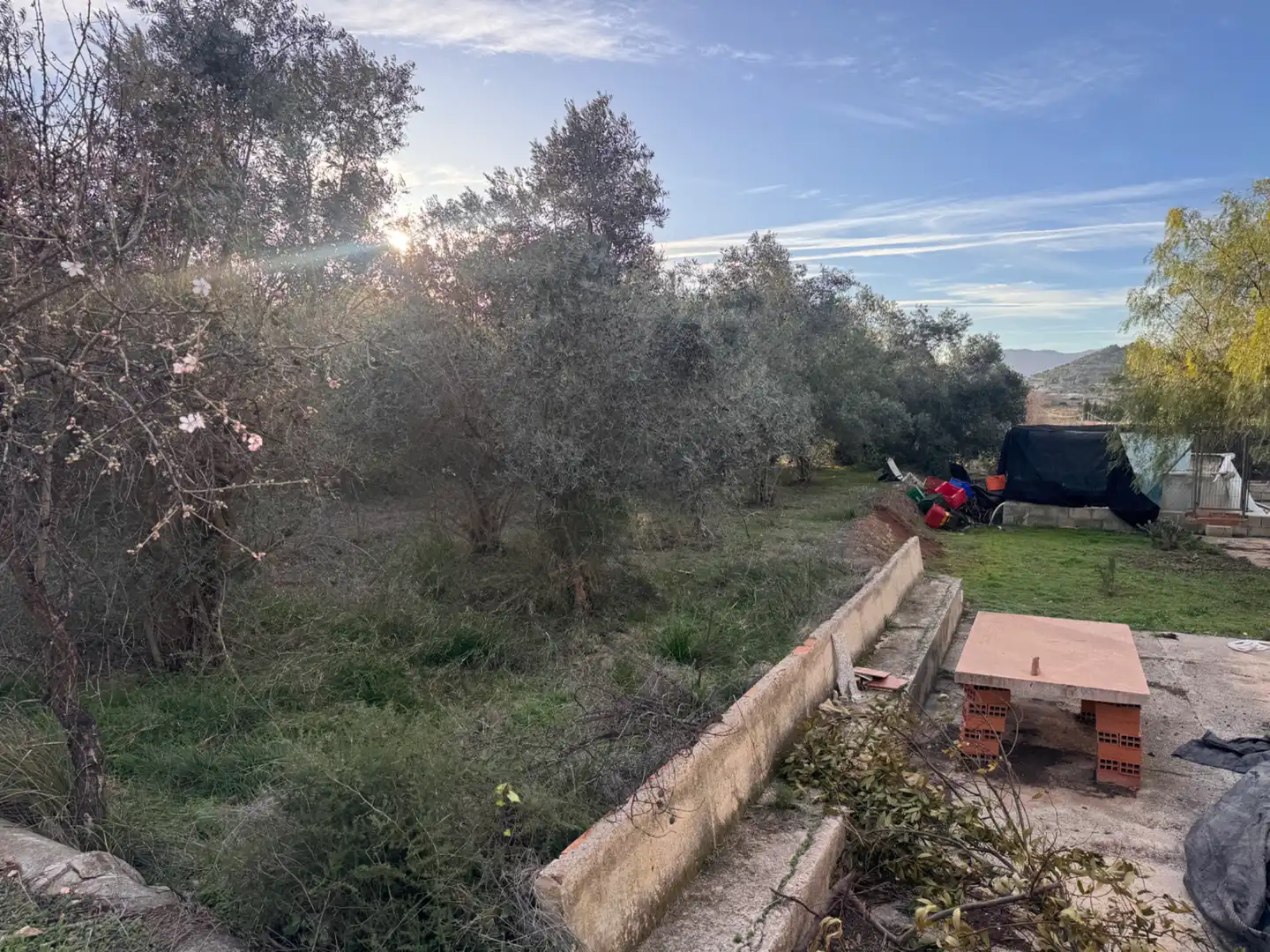 Jardín de Casa o chalet en venta en Cehegín con Jardín privado, Trastero y Balcón