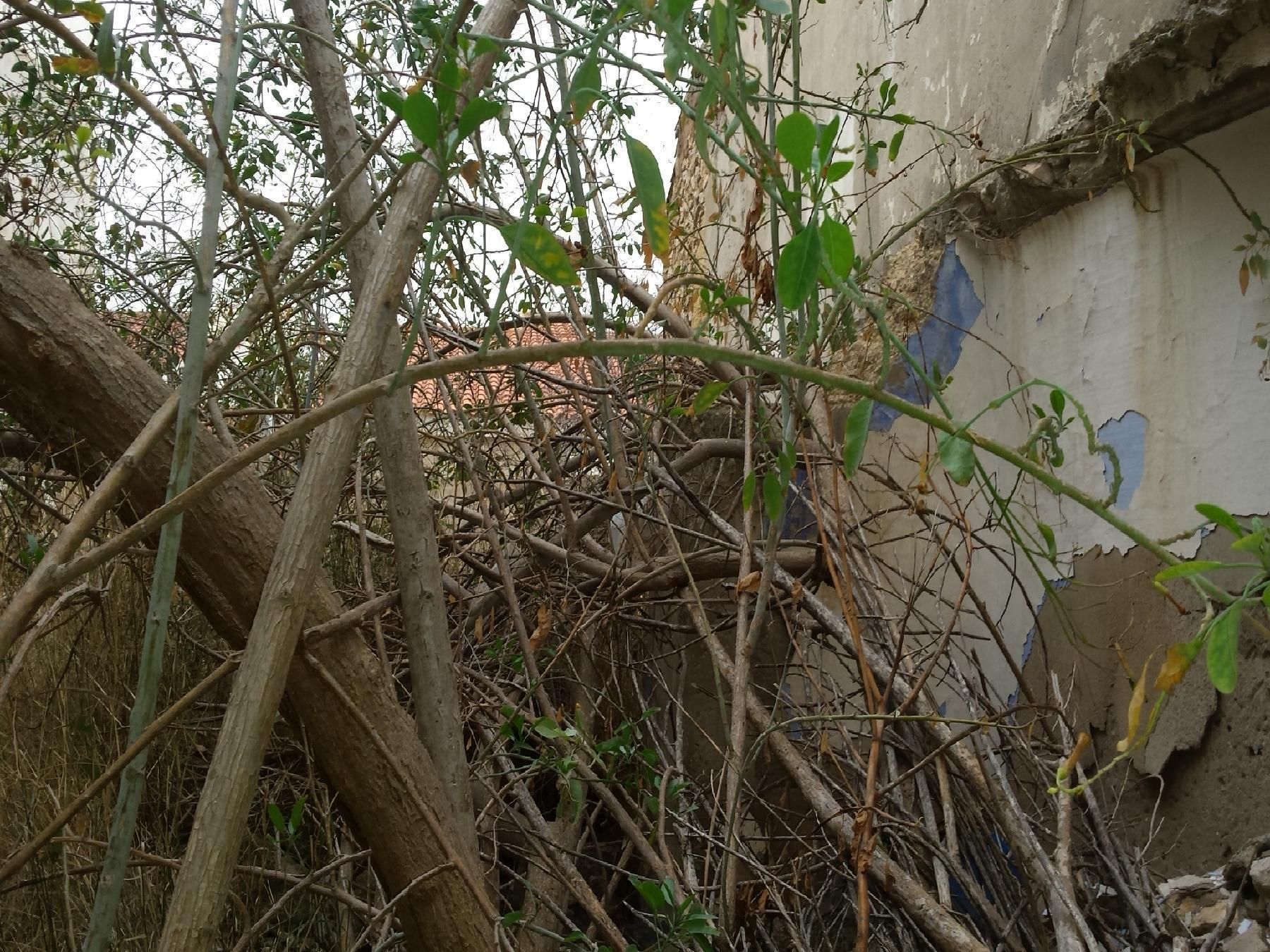Casa o xalet en venda en Tobarra