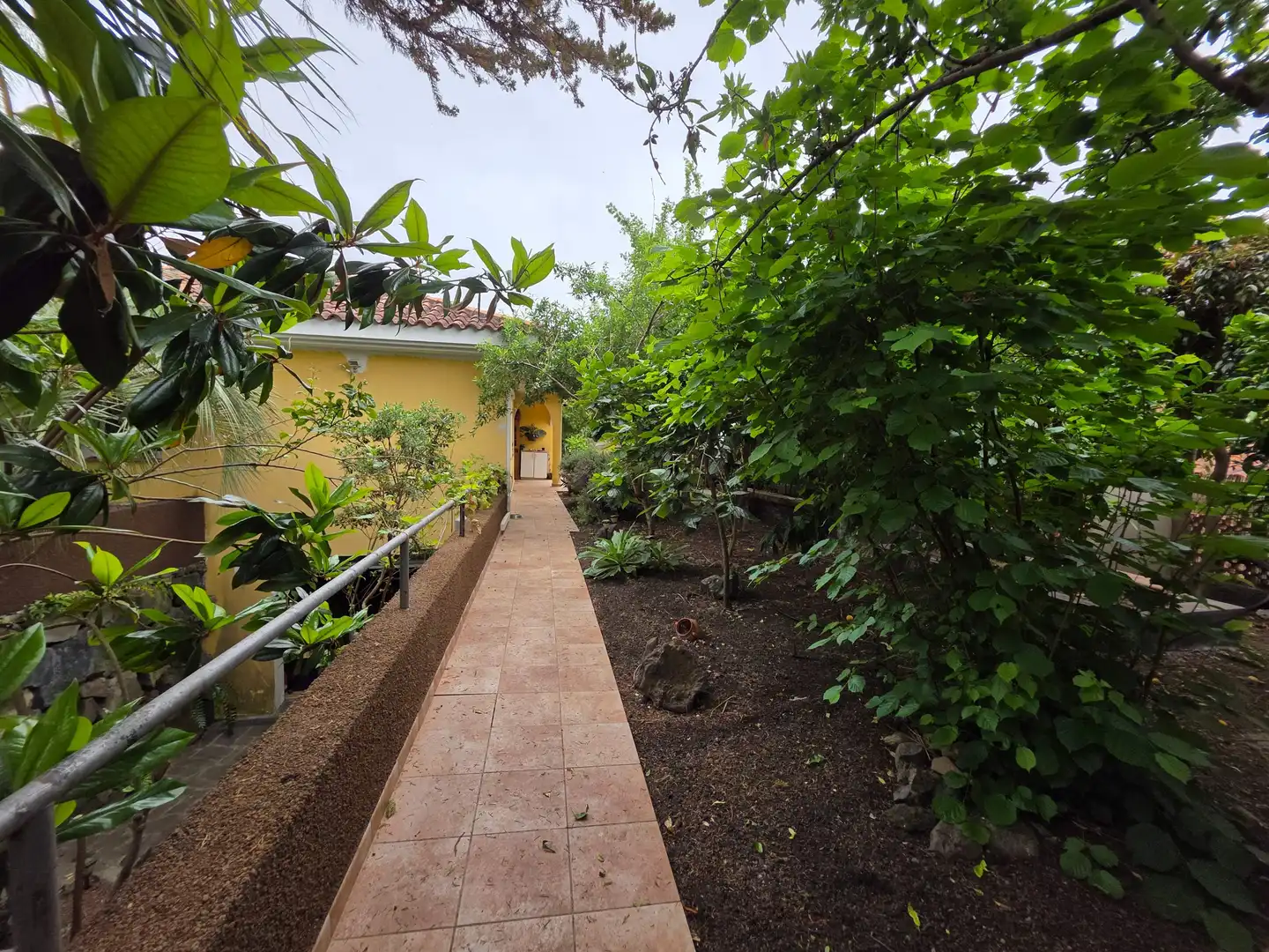 Garden of Houses for sale in La Orotava  with Private garden, Terrace and Storage room