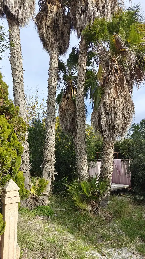 Villa avec piscine à vendre à Paraje Atamaria 53, imagen 28
