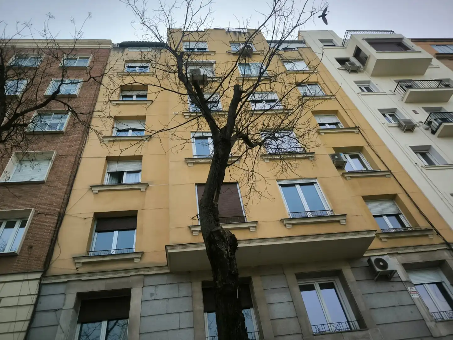 Vista exterior de Pis de lloguer en Madrid amb Aire condicionat, Calefacció i Parquet