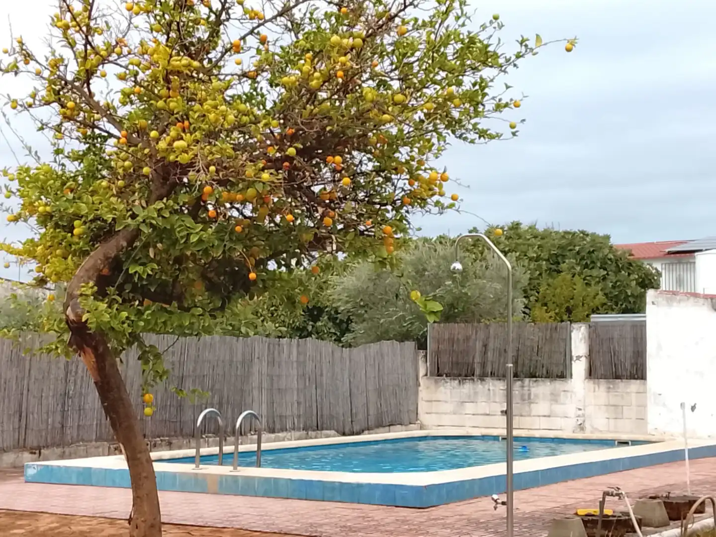 Piscina de Finca rústica en venda en Córdoba amb Aire condicionat, Calefacció i Jardí privat
